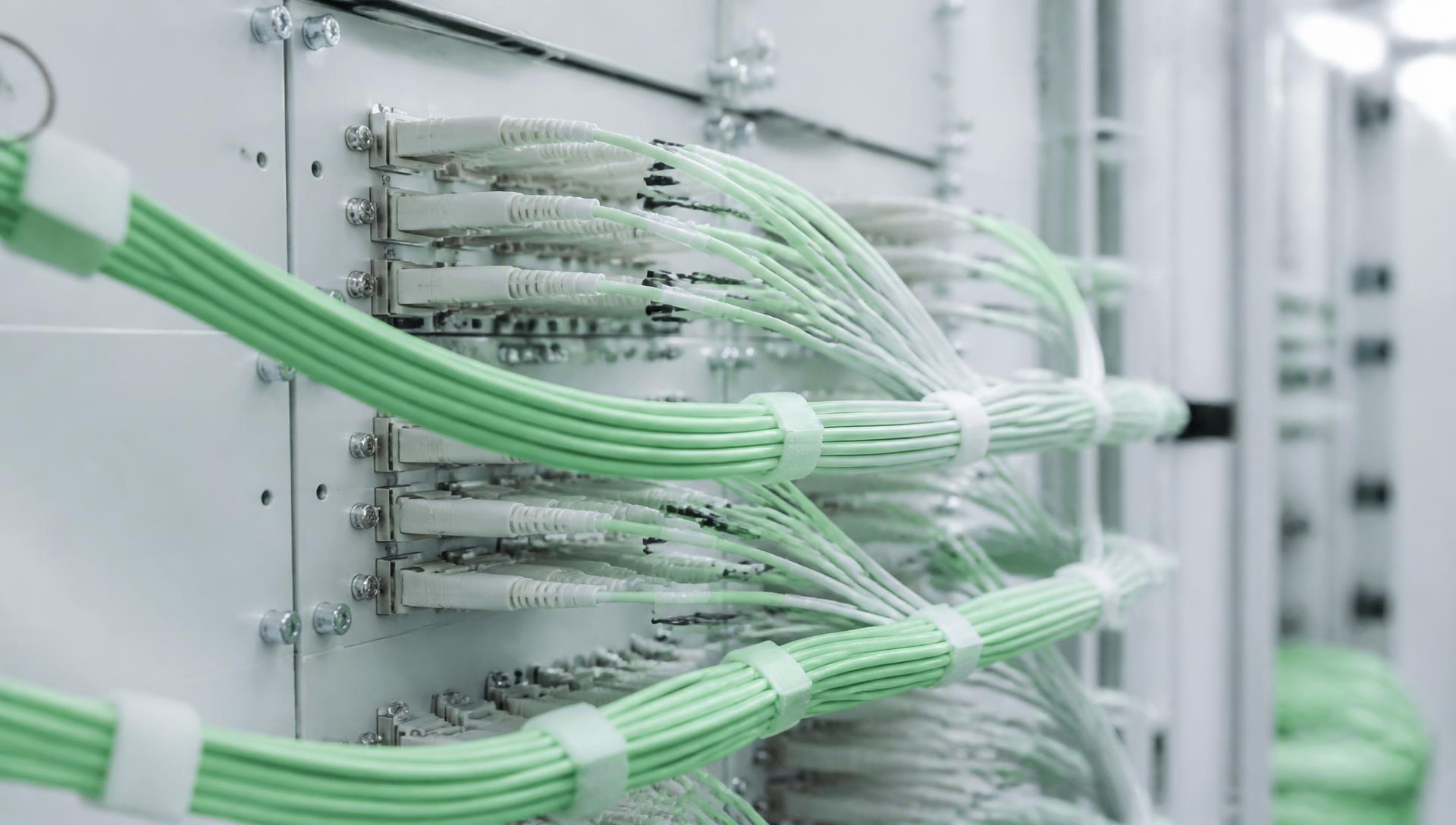 Fiber optic patch panel with densely bundled cables